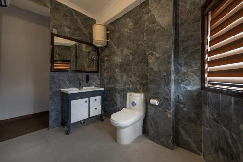 a bathroom with a toilet and a sink and a shower at Villa Harrington in Barog