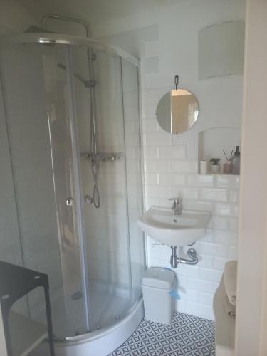 a bathroom with a shower and a sink at Stara Stajnia Moszyce - Apartament w Dolinie Baryczy in Twardogóra