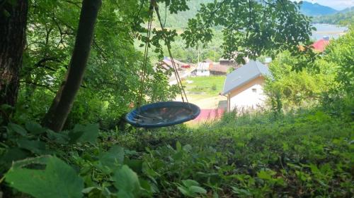 a frisbee is hanging in the grass next to a house at Liziera Cabin Malaia in Malaia