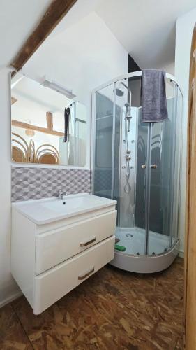 a bathroom with a shower and a sink at Domaine Les Tourelles - La petite maison in Caffiers