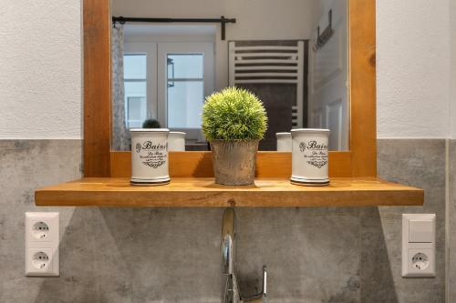 a bathroom shelf with a mirror and a potted plant at Villa Pauline in Baiersbronn