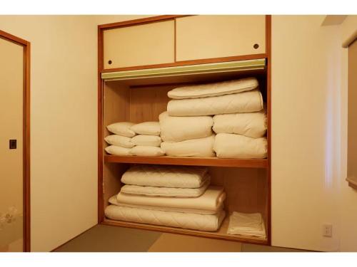 Excellence Osakajou Kouen - Vacation STAY 22223