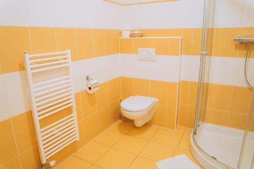 a bathroom with a toilet and a shower at Penzion Maděřič in Moravský Žižkov