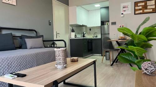 Grey Sense Luxury Apartment