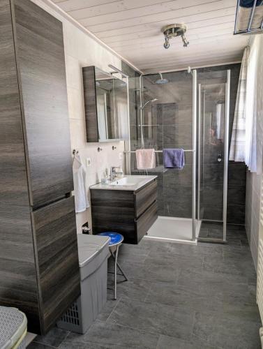 a bathroom with a sink and a shower at Ferienwohnung Hasenhorn in Todtnau