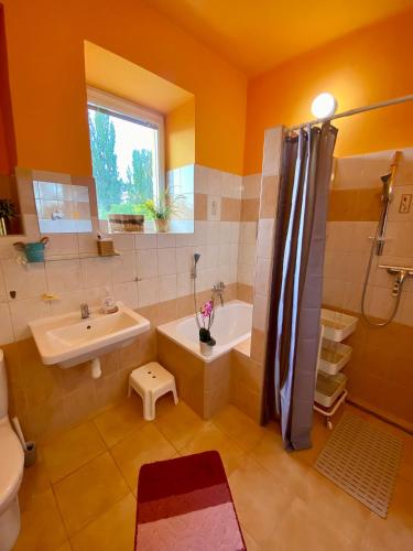 a bathroom with a tub and a shower and a sink at Apartmány u Litovelského Pomoraví in Olomouc