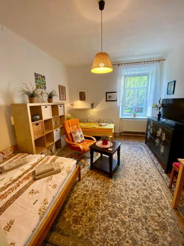 a living room with two beds and a table at Apartmány u Litovelského Pomoraví in Olomouc