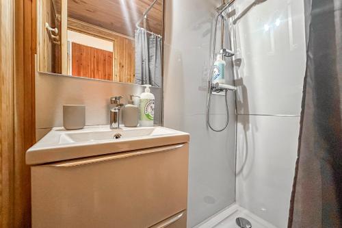 a small bathroom with a sink and a shower at L'Argentière - Nature - Calme - Ski in Le Bourg d'oisans
