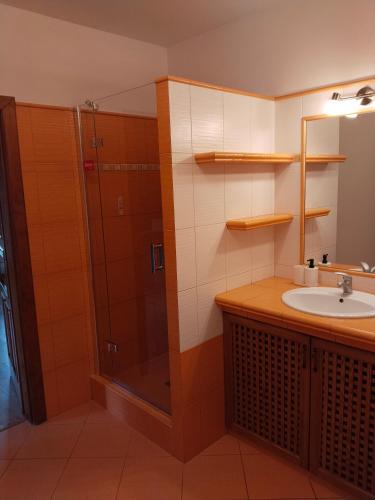 a bathroom with a shower and a sink at Penzion Farma Dolík in Havlíčkŭv Brod