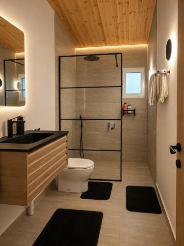 a bathroom with a shower with a toilet and a sink at Pinecone Luxury Glamping in Louvaras