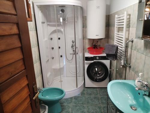 a bathroom with a shower and a washing machine at Casa Sasca Montana in Sasca Montană