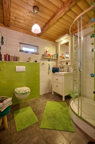 a bathroom with a shower and a toilet and a sink at Petite Noel in Güssing