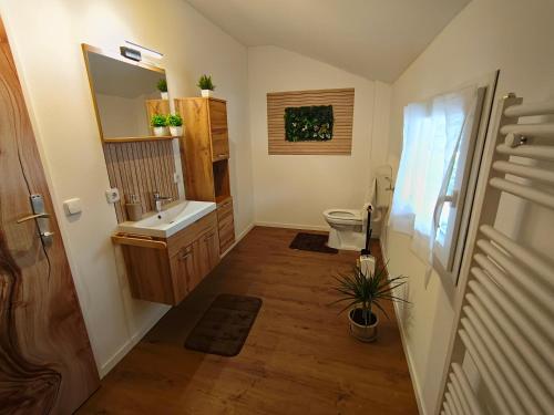 a bathroom with a sink and a toilet at Haus Martha in Hörbranz
