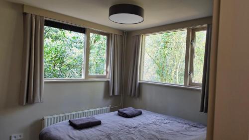 a bedroom with two windows and a bed in it at Huisje Piet in Hoenderloo