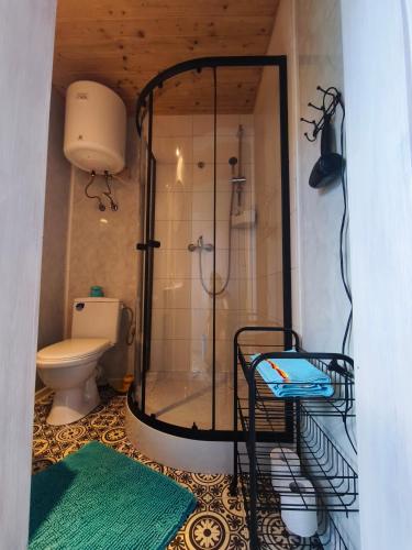 a bathroom with a shower and a toilet at OliMarii domki nad jeziorem Jezioro Złotnickie Karłowice 19 a,b in Karłowice