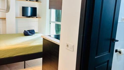 Begona 231 City Center Studio Nogalera