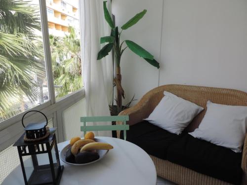 Begona 231 City Center Studio Nogalera