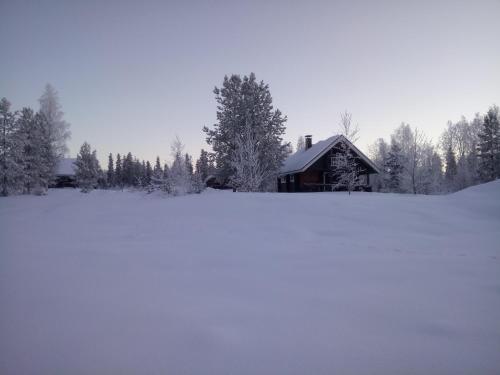 Vuokatti Cottages talvella