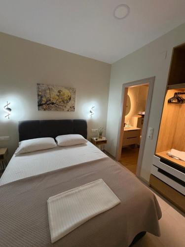 a bedroom with a large bed and a television at Paloma Apartment in Drama