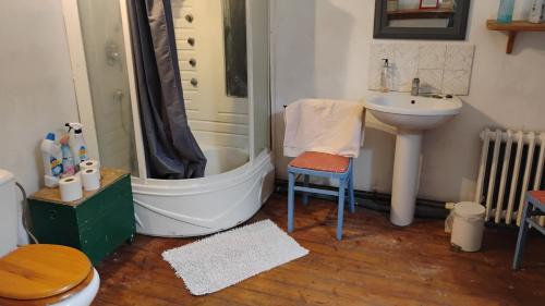 a bathroom with a shower and a toilet and a sink at Number 33 Village house in Rancon sleeps 4 in Rancon