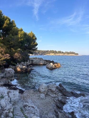 Le Pavillon du Cap d'Antibes photo 10