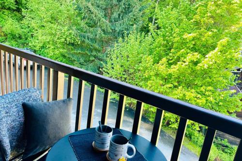 Apt with nice view near the center of Chamonix
