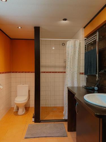 a bathroom with a toilet and a sink at Ligzdiņas in Bernāti
