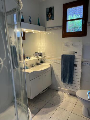 a bathroom with a sink and a shower at La Chouette in Beynat