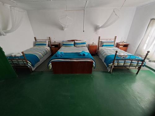 three beds in a room with a green floor at Verbe Farm Accommodation in Kamieskroon