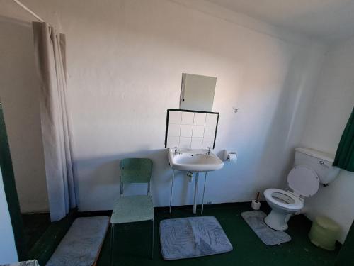 a small bathroom with a sink and a toilet at Verbe Farm Accommodation in Kamieskroon