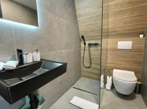 a bathroom with a sink and a toilet at Engadin Mountain Kucica in Brda