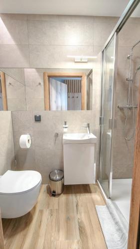 a bathroom with a sink and a toilet and a shower at Rest&Drive in Warszowice