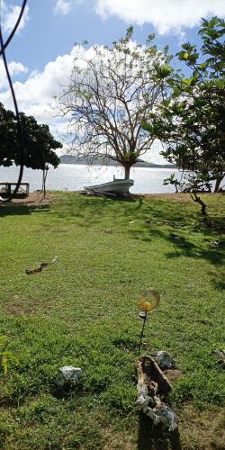 a field of grass with a tree and a body of water at Nanz's Homestay in Ngunu