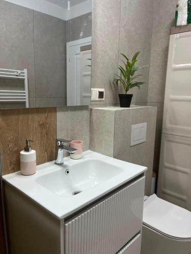 a bathroom with a sink and a toilet at Luna Residence in Baia Mare
