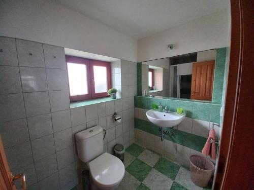 a bathroom with a toilet and a sink at Penzion U Dračice in Nová Bystřice