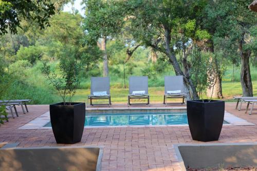 two lounge chairs and a swimming pool with trees at Senalala Safari Lodge in Klaserie Private Nature Reserve