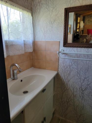 a bathroom with a sink and a mirror at Le nid de la mare in Mervans