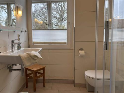 a bathroom with a sink and a toilet and a window at Dahmerhof in Dahme