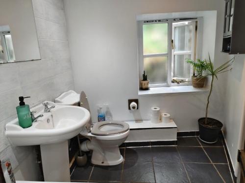 a bathroom with a sink and a toilet and a window at Tranquil Woodland Cottage by river Wye in Lydbrook