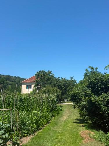 a dirt road leading to a house in a field at Kod Marijanovića in Andrijevica