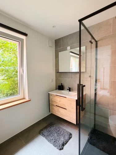 a bathroom with a sink and a glass shower at Liedagas in Kolka