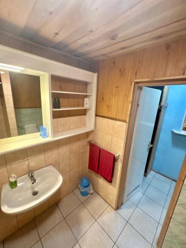 a bathroom with a sink and a mirror at Agroturystyka Kociewiak in Szteklin