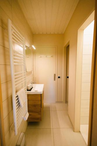 a bathroom with a sink and a mirror at L'Oustal des Dômes in Orcines