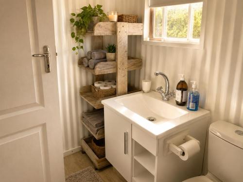 a bathroom with a sink and a toilet at Tanzanite in Paternoster