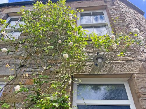 a stone building with a window and a plant at Clifford Courtyard in Kirkby Stephen