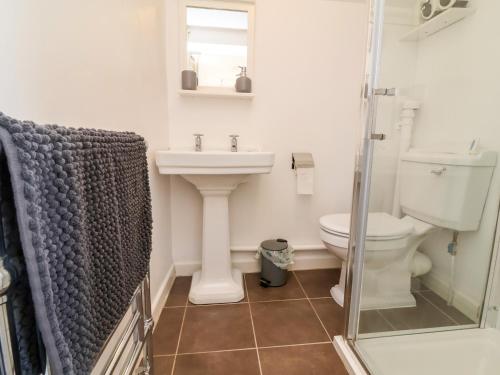 a bathroom with a sink and a toilet and a shower at Coach House in Beaworthy