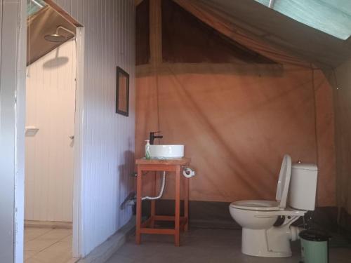 a bathroom with a toilet and a sink at Kambu Mara Camp in Sekenani