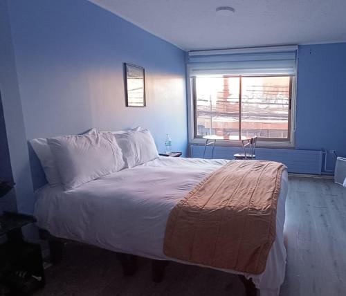 a bedroom with a large bed with a blue wall at HOTEL LOYOLA in Coihaique