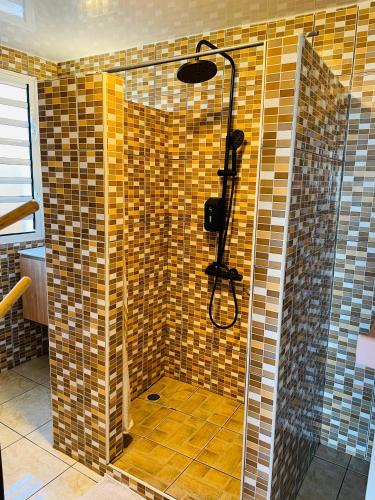 a shower in a bathroom with a tiled wall at Gîte Délia Les Makes in Saint-Louis