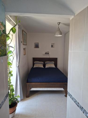 a bedroom with a bed with blue sheets and a window at Merozzini in Moltifao